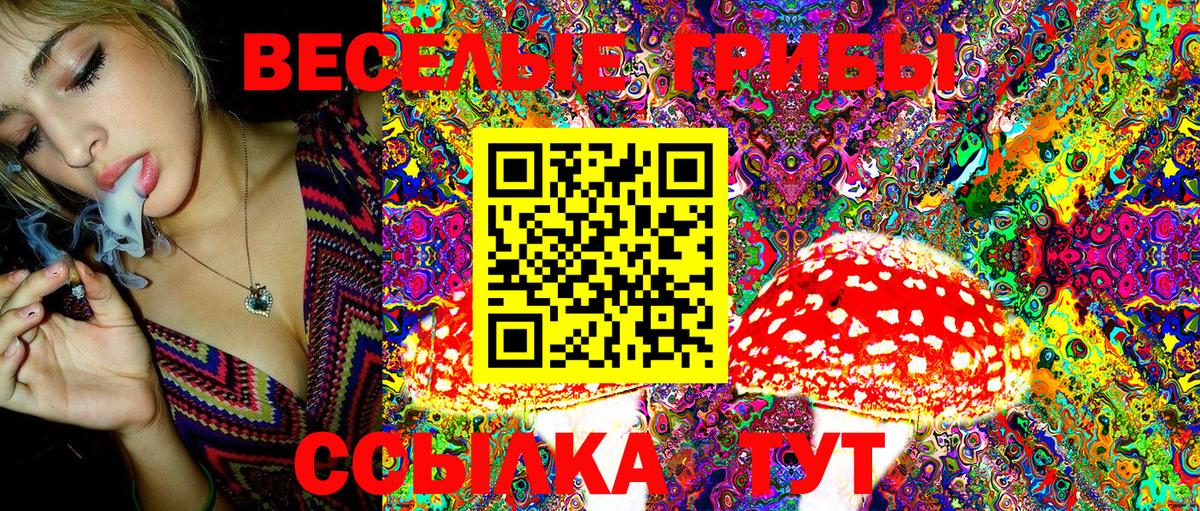Псилоцибиновые грибы MAGIC MUSHROOMS Кохма