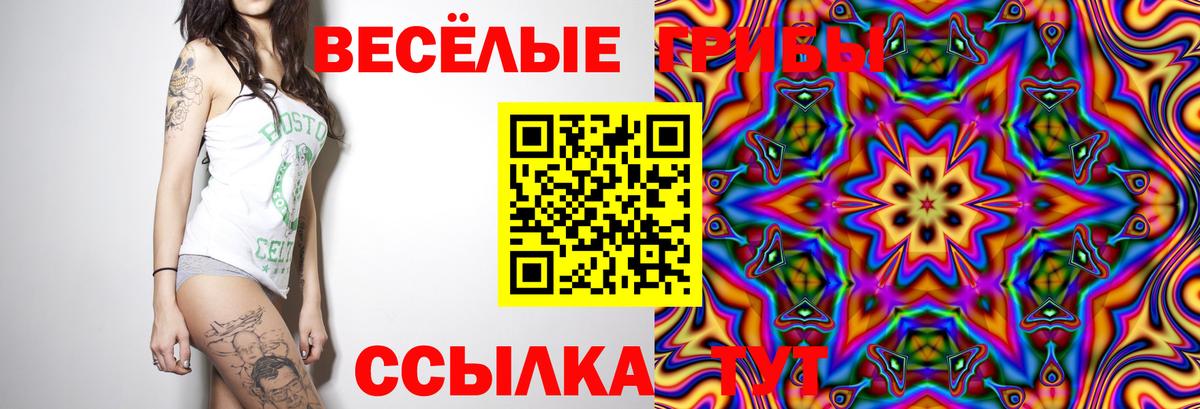 A PVP Кохма